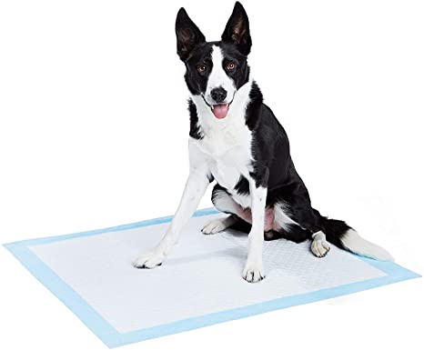 AmazonBasics Heavy Duty Pet and Puppy Training Pads, XL -25-Count