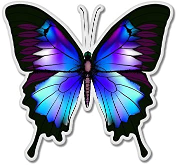 AK Wall Art Blue Morpho Butterfly Vinyl Sticker - Car Window Bumper Laptop - Select Size