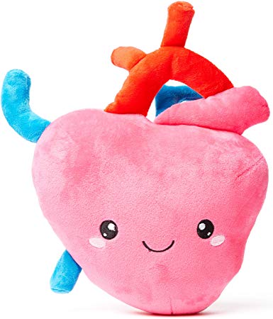 nerdbugs Heart Plush - I Aorta to Tell You How Much I Love You!- Cute & Funny Cardiology Heart Plush/ Get Well Gift/ Health Education Toy