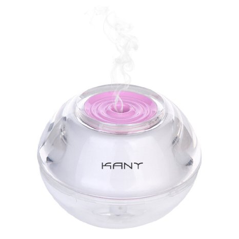 Kany Cool or Warm Mist Humidifier,Mini Portable Quiet Diffuser Night Light with Auto Safety Shut-off USB Cable Humidifier for Travel Office Baby Room