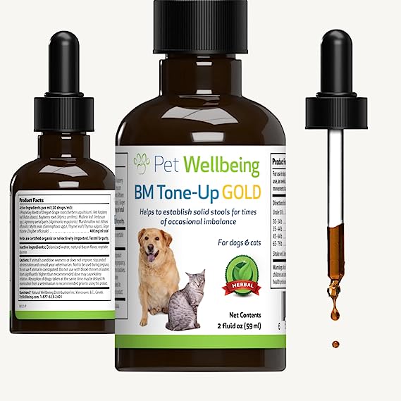 Pet Wellbeing - BM Tone-Up Gold for Dogs - Natural Support for Canines with Diarrhea - 2 oz (59 ml)