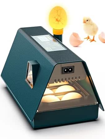 10 Huevos Incubadora Huevos,Incubadora Automatica,Incubadora Con Volteo AutomáTico de Huevos y Control de Temperatura y Humedad,Adición Externa de Agua,para Gallinas, Patos, Codornices