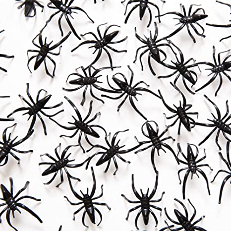 1 1/2" Plastic Spiders, 72 Pack