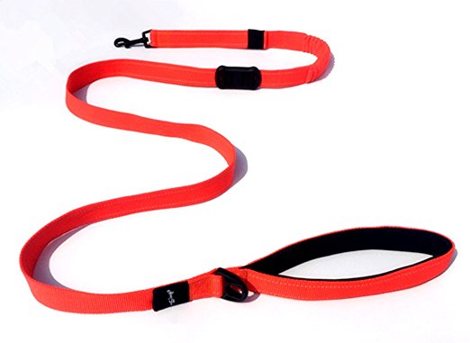Dog Leash, Pet Leash with Padded Handle, 6 Feet 1 Inch, Heavy Duty Strap, Perfect for Large or Medium Dog, Orange, HongToo