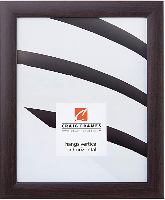 Craig Frames 23247778 15 x 21 Inch Picture Frame, Smooth Finish, 1-Inch Wide, Brazilian Walnut Brown