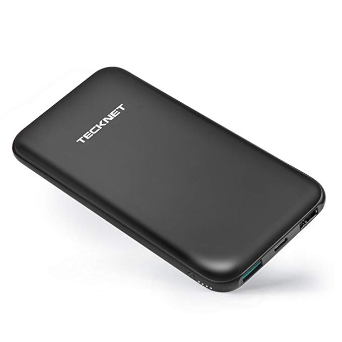 TeckNet® iEP1000 10.000mAh Dual 2.1A / 1A USB External Battery Power Bank Charger for iPad iPad 4/3/2 Air iPad Mini 2.1, iPhone 6 5S 5C 5, Samsung Galaxy, Android Phones Tablets, smartphone, PSP, GoPro, GPS [1.38cm Design]