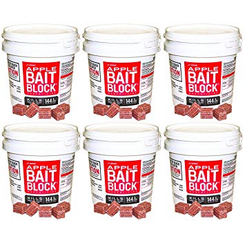 JT Eaton 709-AP Bait Block Rodenticide Anticoagulant Bait, Apple Flavor, For Mice and Rats (Pail of 144), 6 buckets
