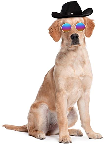 WODISON 2PCS Cool Pet Dog Cat Cowboy Costume Hat and Retro Fashion Sunglasses Set