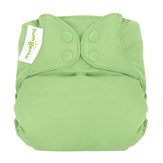 bumGenius Elemental 3.0 All-in-One One-Size Cloth Diaper with Organic Cotton (Grasshopper)