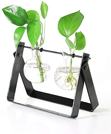 Ivolador Desktop Plant Terrarium Stand Modern Tabletop Glass Planter Flower Bulb Vase with Metal Swivel Holder (Black)