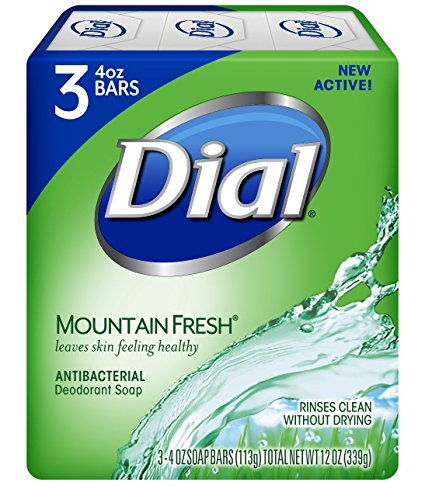 Dial Antibacterial Deodorant Bar Soap, Mountain Fresh, 4-Ounce Bars, 3 Count (Pack of 3)