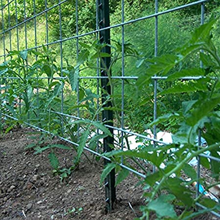 MRGARDEN Garden Trellis Iron Cucumber Trellis Kit 4ft Metal Trellis Outdoor Decor, Heavy-Duty Plants Support Ladder for Morning Glory and Clematis Flower Trellis