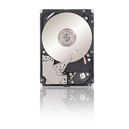 Seagate 300 GB Savvio SAS 6Gb/s 64MB Cache 2.5-Inch Internal Bare Drive (ST300MM0026)