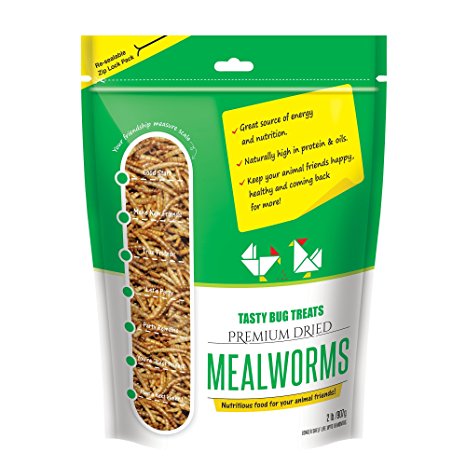 Mealworms - Premium Dried Mealworms (2 lb bag) byTasty Bug Treats (Meal Worms)