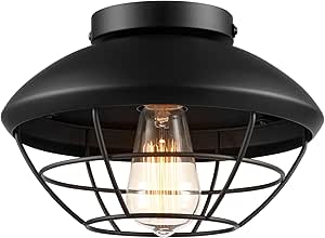 Globe Electric 60000120 1-Light Outdoor Flush Mount Ceiling Light, Matte Black, Metal Cage Shade, Weather Resistant, Indoor