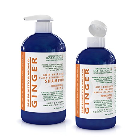 STEPS 1 &2 Value Set : Anti Hair Loss Ginger/ Saw Palmetto & Argan Oil Organic Shampoo (16 Oz) and Scalp Stimulating Treatment (8 Oz) Green Touch Botanical Hair Growth Therapy