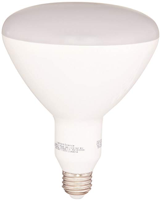 Lighting Science FG-02470 Awake and Alert Led Household Light Bulbs
