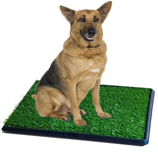 Synturfmats Indoor/Outdoor Pet Potty Patch, 3 Pieces Puppy Training Pad Dog Relief System