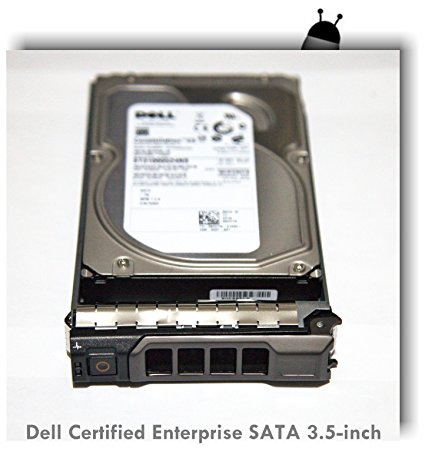 Dell Certified 1TB Enterprise Class SATA 3.5" Hard Drive for Poweredge T310, T320, T410, T420, T610, T620 and T710 Servers. Equipped with Caddy. 342-1504