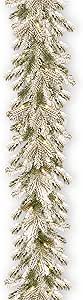 National Tree Company Pre-Lit 'Feel Real' Artificial Christmas Garland, Green, Sheffield Spruce, White Lights, Decorated With Frosted Branches, Plug In, Christmas Collection, 9 Feet