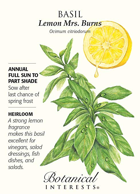 Mrs. Burns Lemon Basil Seeds - 750 mg - Heirloom