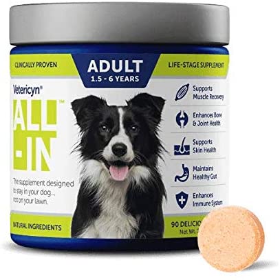 Vetericyn All-in Dog Supplement. Naturally Safe Daily Supplement with Optimal Absorption Technology. Bone and Joint Support. Maintain a Healthy Immune and Digestive System. 90 Tablets. 7.3 Ounces