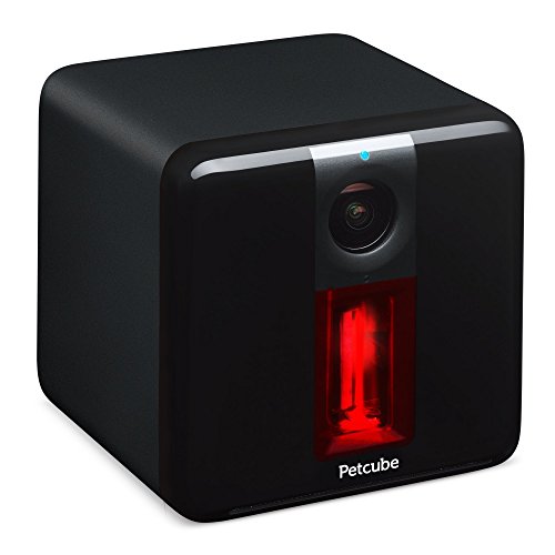 Petcube Play | 1080p Video, Night Vision, 2-way Audio, and Built-in Laser Toy