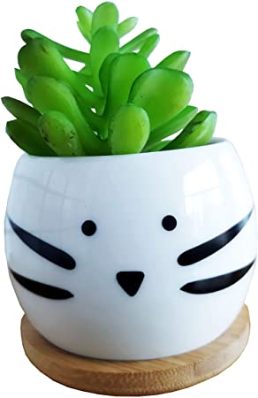 Cute Cartoon Animal Cat Shaped Ceramic Succulent Cactus Flower Plant Pots planters with Bamboo Tray