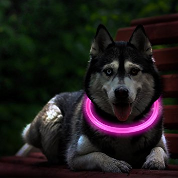 LED Dog Necklace Collar,USB Rechargeable Safety Waterproof Light up Adjustable Flashing Pet Neck Loop