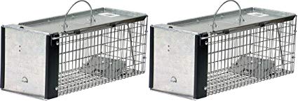 Havahart 0745 One-Door Animal Trap for Chipmunk, Squirrel, Rat, and Weasel, X-Small (Pack of 2)