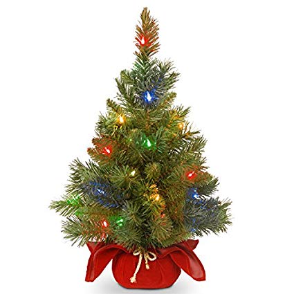 National Tree 24 Inch Majestic Fir Tree with 35 Battery Operated Multicolor LED Lights (MJ3-24BGRLO-B1)