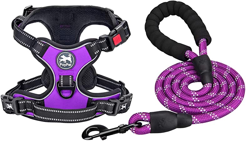 PoyPet Dog Harness and Leash Combo, Escape Proof No Pull Vest Harness, Reflective Adjustable Soft Padded Pet Harness with Handle for Small to Large Dogs(Purple,XS)