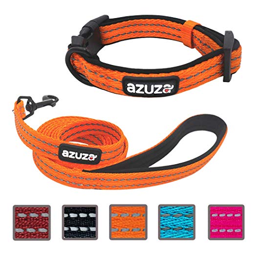 azuza Durable Padded Dog Leash and Collar Set, Reflective Strip Extra Safe and Comfy for Small to Large Dogs