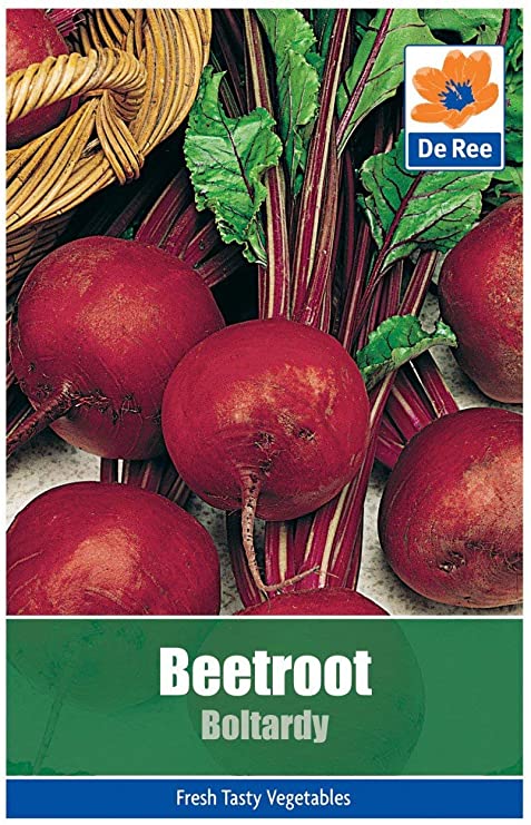 De Ree Beetroot Boltardy Vegetable Plant 250 Seeds