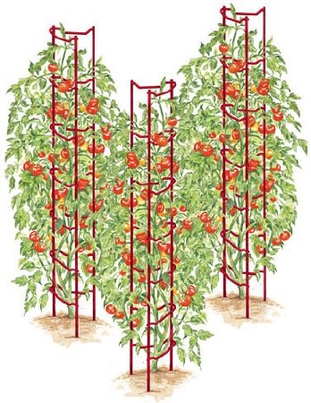 Red Tomato Ladders Set of 3