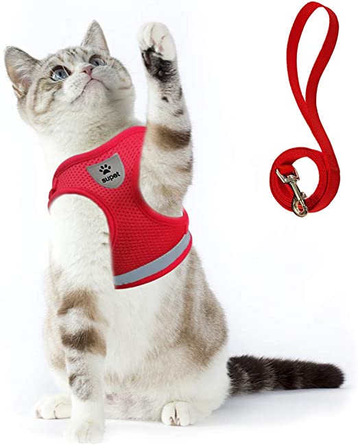 Cat Harness and Leash Set for Walking Escape Proof Small Cat and Dog Harness Soft Mesh Harness Adjustable Cat Vest Harness with Reflective Strap Comfort Fit for Pet Kitten Puppy Rabbit