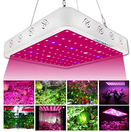 BXE 800W LED Grow Light Panel Lamp LED Grow Lamp Full Spectrum for Indoor Plants Seedling Vegetable and Flower