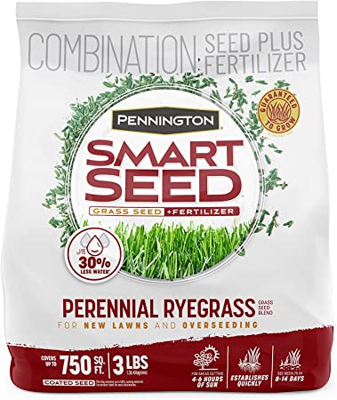 Pennington Smart Seed Perennial Ryegrass and Fertilizer Blend, 3 Pounds
