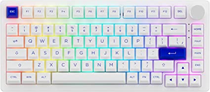 EPOMAKER AKKO PC75B Plus Hot Swappable RGB Mechanical Gaming Keyboard, Bluetooth 5.0/2.4Ghz/USB-C Wired PC Keyboard, with Knob Control, 3000mAh Battery for Win/Mac/Linux(AKKO Jelly Pink)