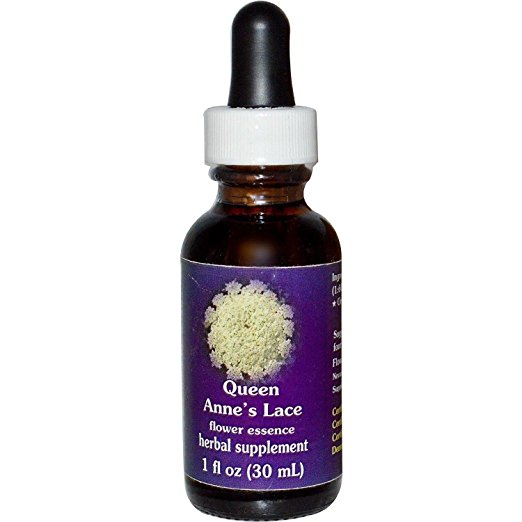 Flower Essence Services Dropper Herbal Supplements, Queen Annes Lace, 1 Ounce