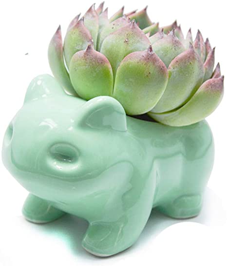 Binoster DIY Flowerpot Cute Ceramic Art Pots Home Decorative Ceramic Art Vase Green