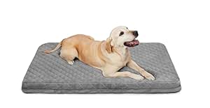 Dreamland Orthopedic Dog Bed for Rest with Removable Washable Cover - Soft Flannel Top Pet Beds with Anti Slip Bottom, Light Grey, M (31.5"x25.6"x2")