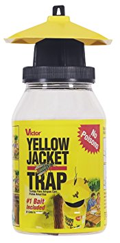 Victor Poison-Free M362 Reusable Yellow Jacket & Flying Insect Trap