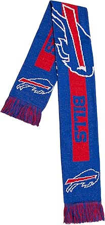 FOCO NFL (2016 Edition) Big Logo Scarf