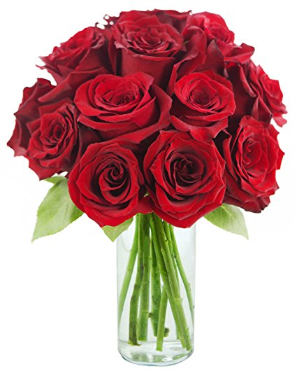 Red Rose of Passion Bouquet (One Dozen Long Stemmed) - With Vase