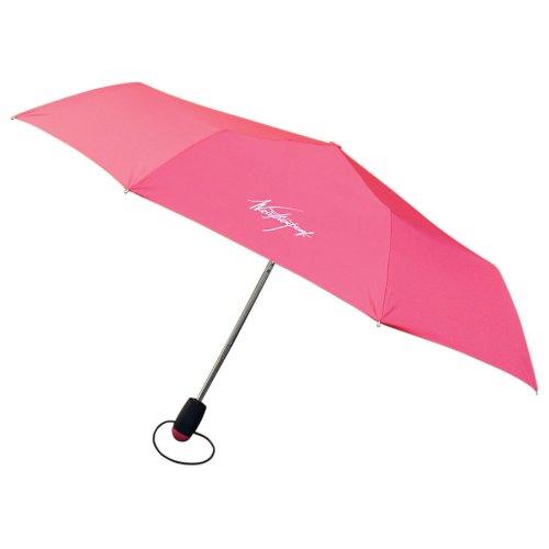 Weatherproof 43 Inch Auto Open and Close Supermini Umbrella