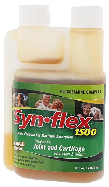 Synflex 1500 - Liquid Glucosamine Formula - 8 fl. oz