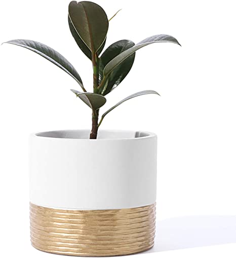 POTEY 055904 Cement Planter Pot - 5 Inch Indoor Concrete Planters Bonsai Container with Drainage Hole for Small Plants Succulent Cactus Flowers (Matte White Golden, Plant NOT Included)