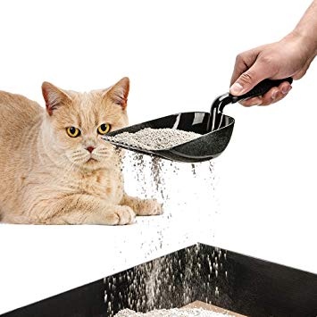 DaTOOL Cat Litter Scoop with The Scoop Teeth,Deep Shovel Sifter Durable Solid Aluminum, Non-Stick Deep Scoop,Waterproof and Rust Resistant Perfect for Sifting Kitty Litter Cats