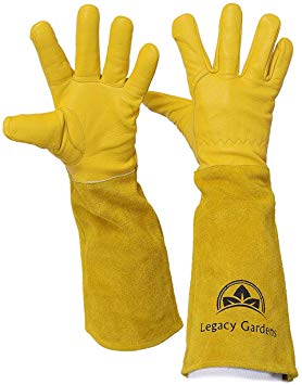 Legacy Gardens Leather Gardening Gloves for Women and Men | Thorn and Cut Proof Garden Work Gloves with Long Heavy Duty Gauntlet | Suitable for Thorny Bushes Cacti Rose Pruning - Medium Yellow